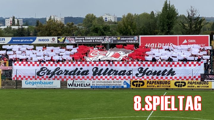 8.Spieltag - VFL Halle 96 (A)